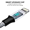 Wayona Nylon Braided WN3LG1 USB Syncing and Charging Cable for iOS Devices (3 FT Pack of 1, Grey) #4